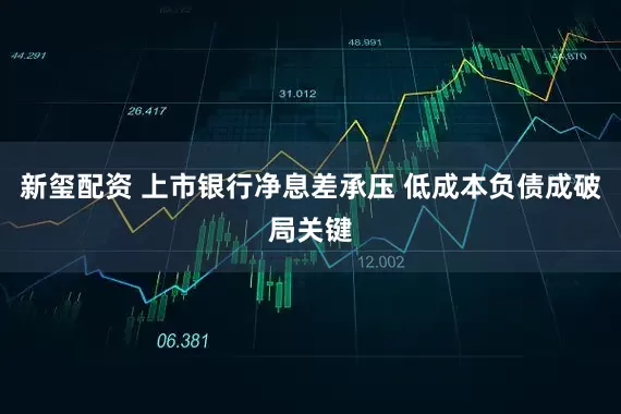 新玺配资 上市银行净息差承压 低成本负债成破局关键
