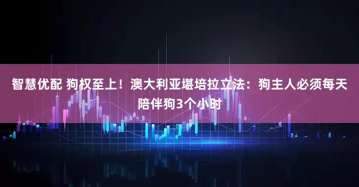 智慧优配 狗权至上！澳大利亚堪培拉立法：狗主人必须每天陪伴狗3个小时