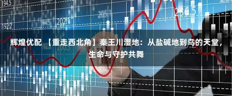 辉煌优配 【重走西北角】秦王川湿地：从盐碱地到鸟的天堂，生命与守护共舞